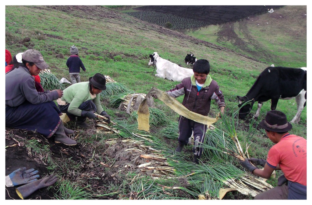 APDSC DIGITAL CAMERA