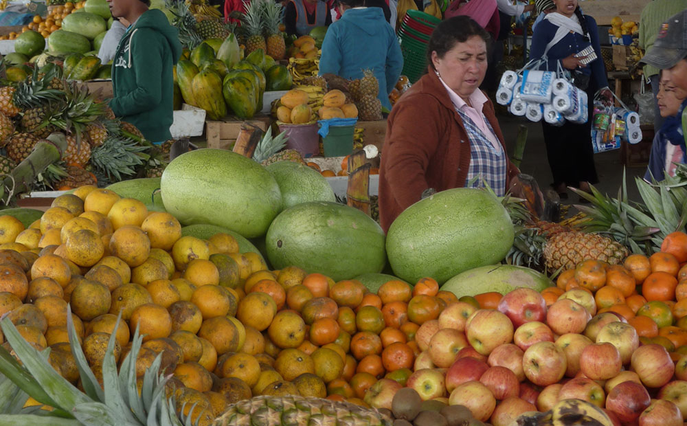 Farmers examining crop diversity through EkoRural’s agrobiodiversity work.